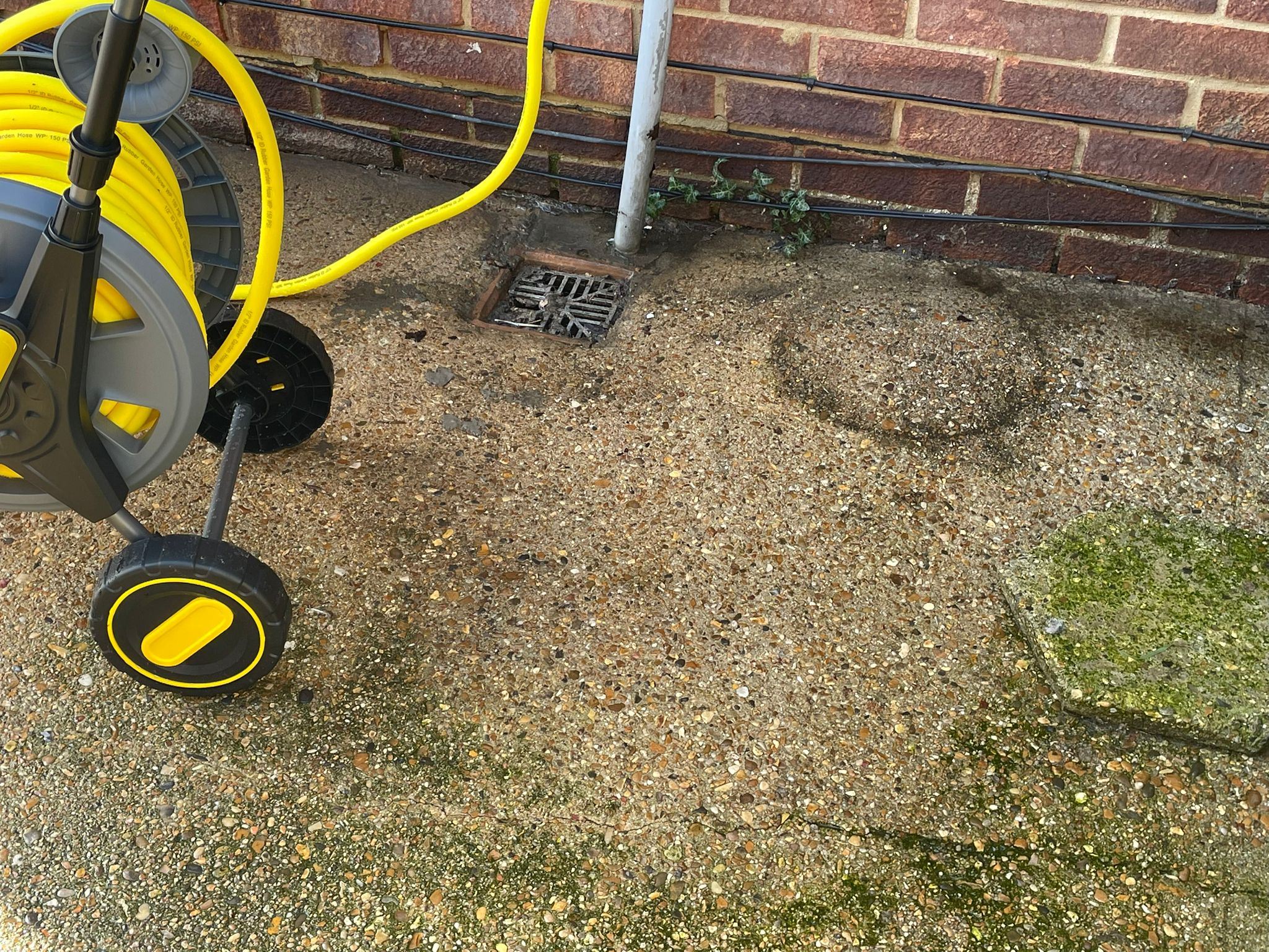 Cleaned Flooring — Before